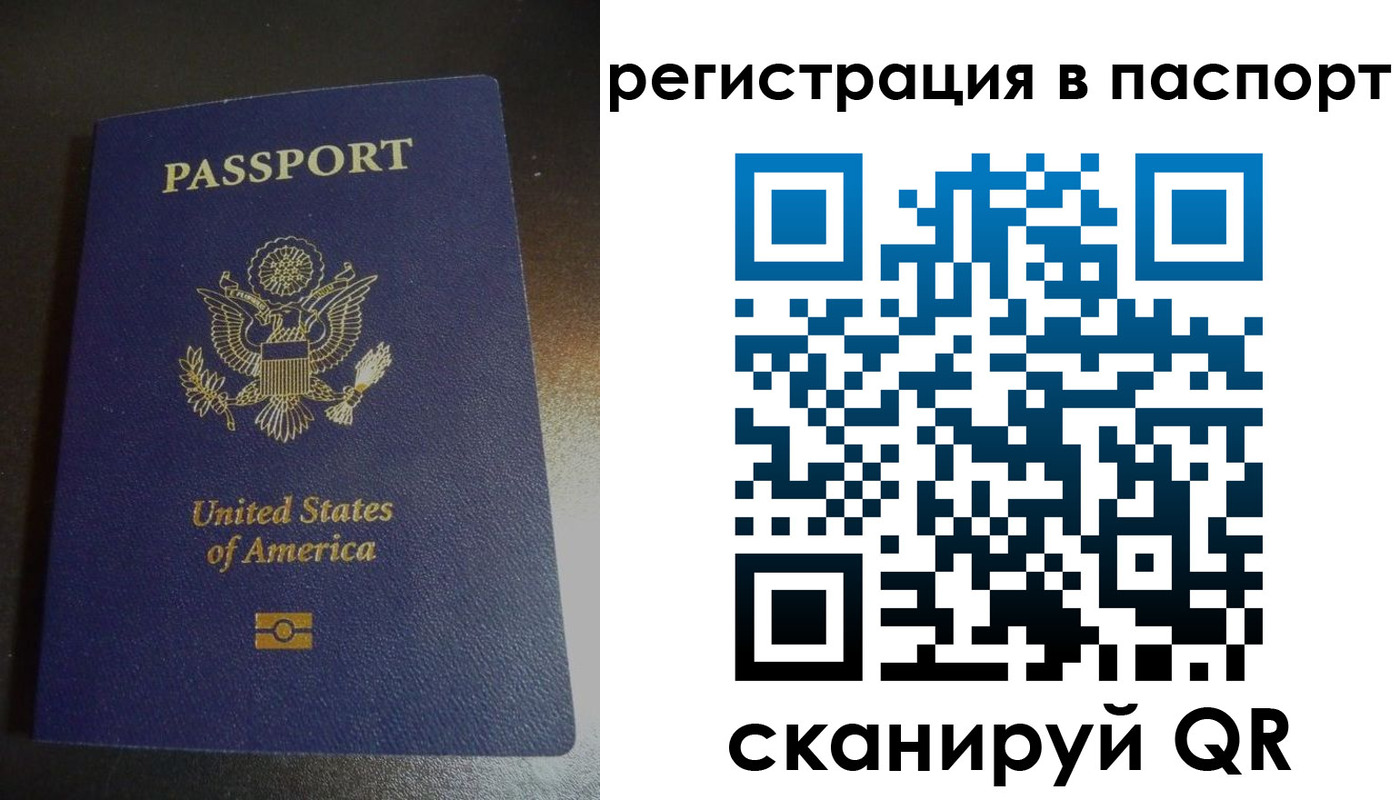 прописка для школы в Северске